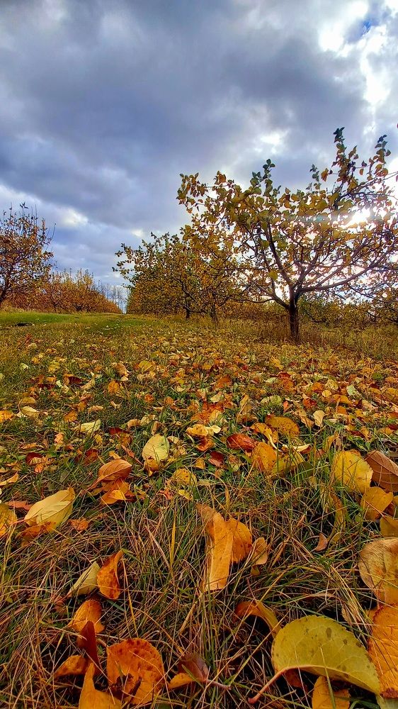 Photograph by Марина Козлова