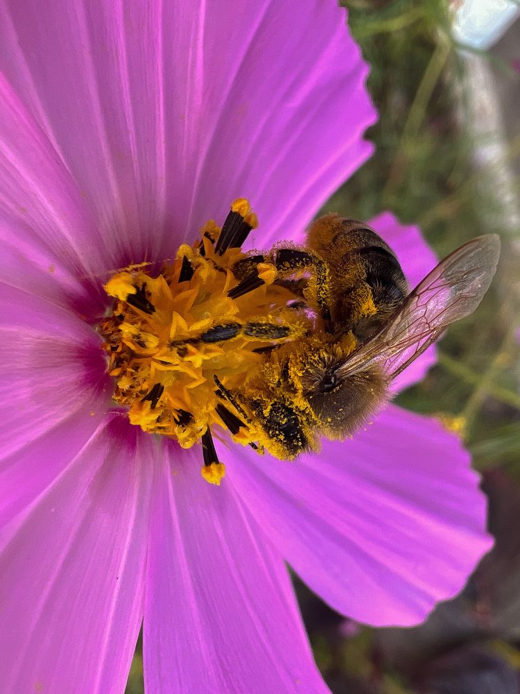 Photograph by Elvira