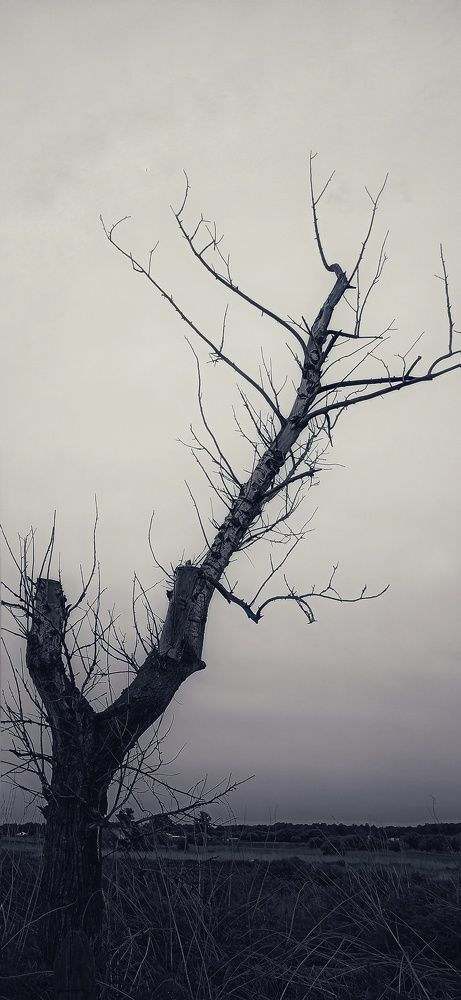 Photograph by Евгения Акишева