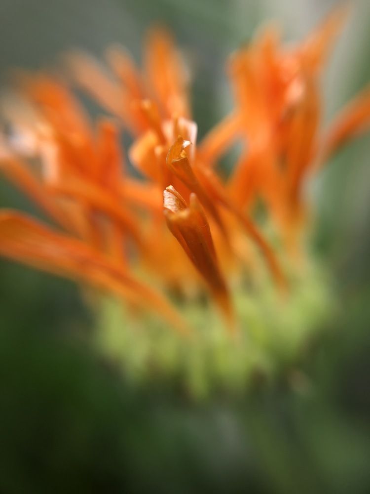 Photograph by Elvira