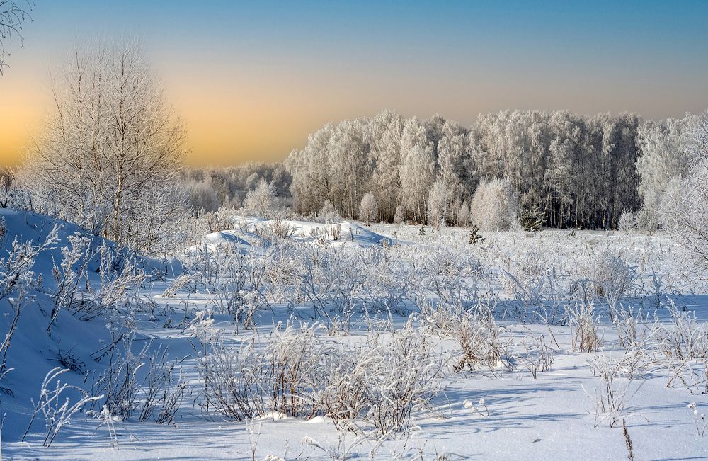 Photograph by NADEZHDA PELYMSKAIA