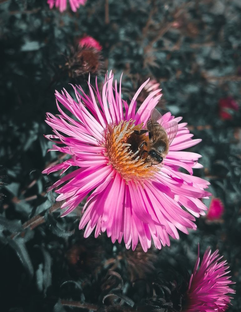 Photograph by Екатерина Тарасова