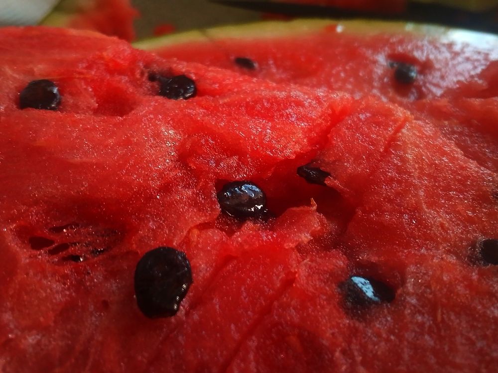 Настоящий сентябрьский арбуз... 25.09.2023