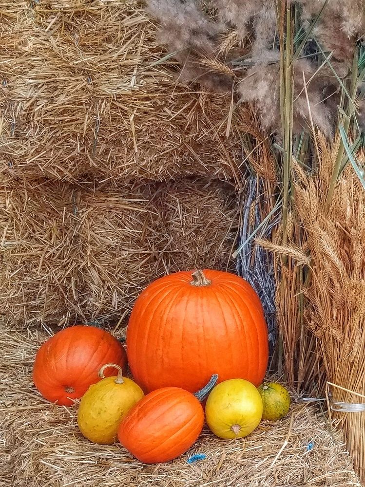 Photograph by Ирина