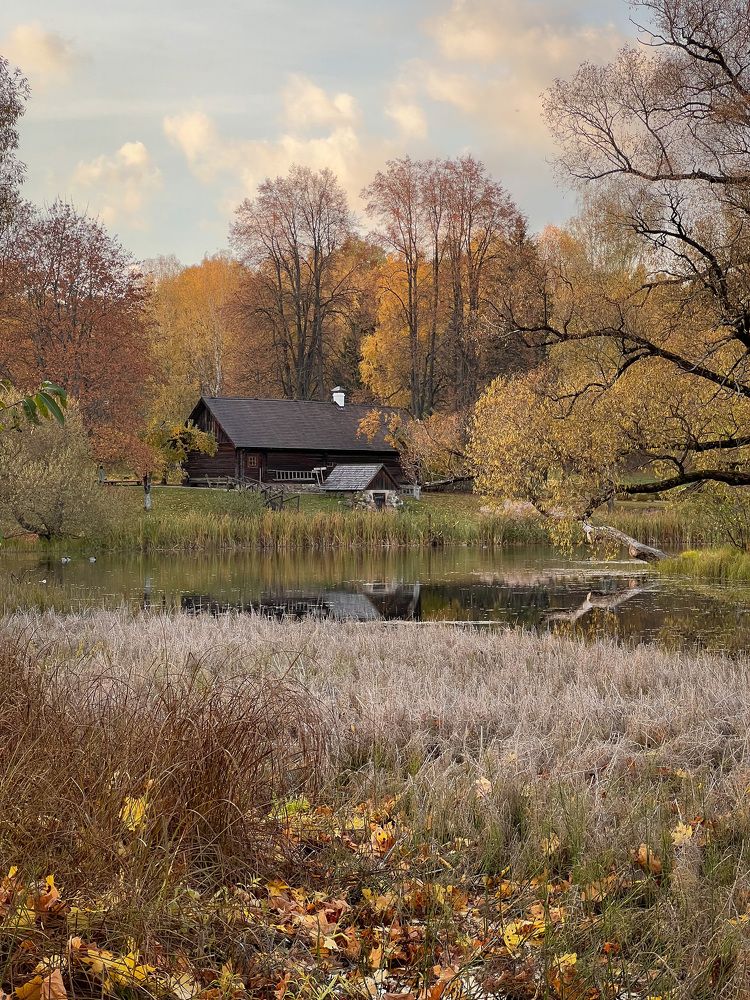 Photograph by Елена Башмакова