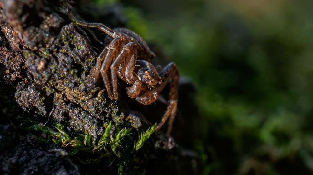 Photograph by Мичурин Андрей