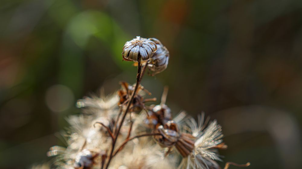 Photograph by Мичурин Андрей