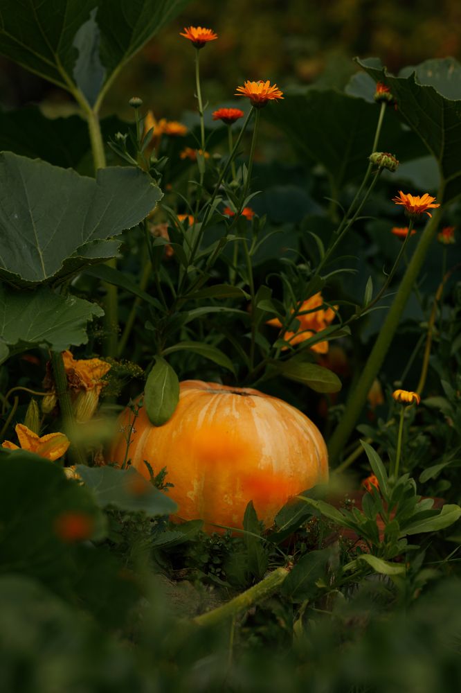 Photograph by Елена Высоких