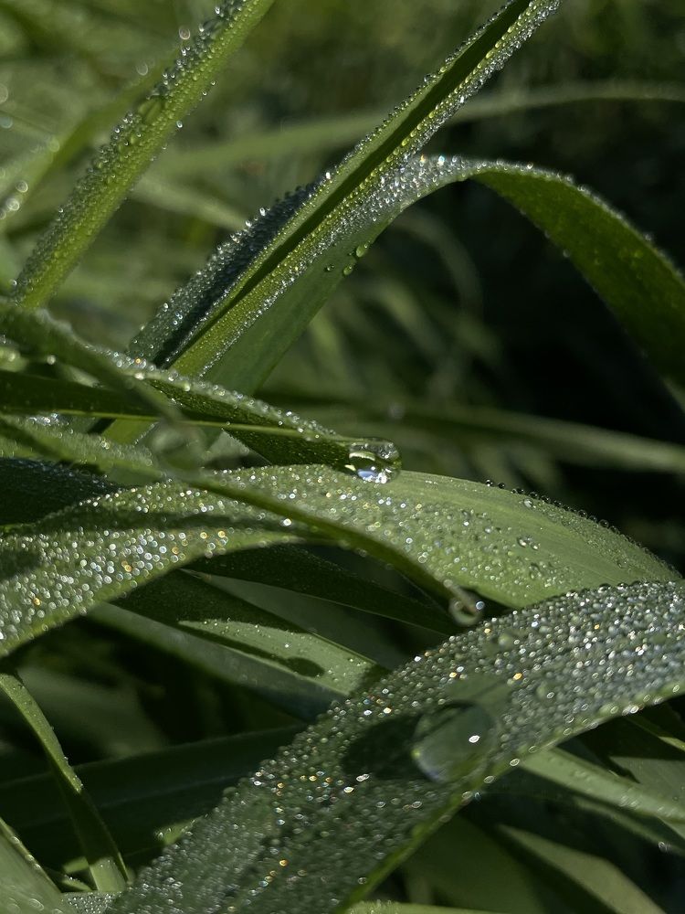 Photograph by Анна Иванова