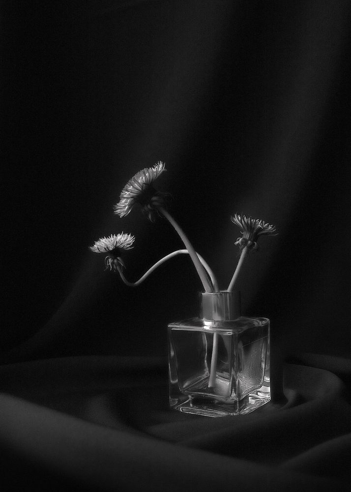 Photograph by Татьяна Светличная