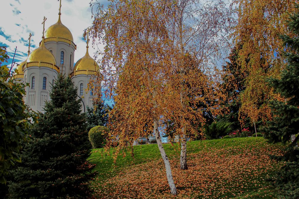 Photograph by Ирина Шибитова