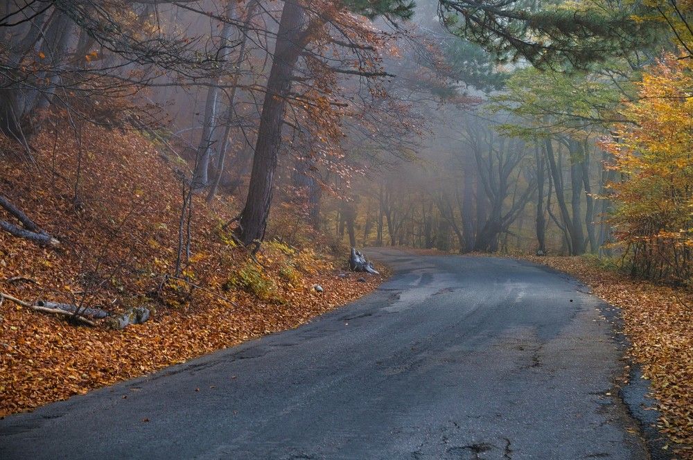 Photograph by Андрей Евтеев