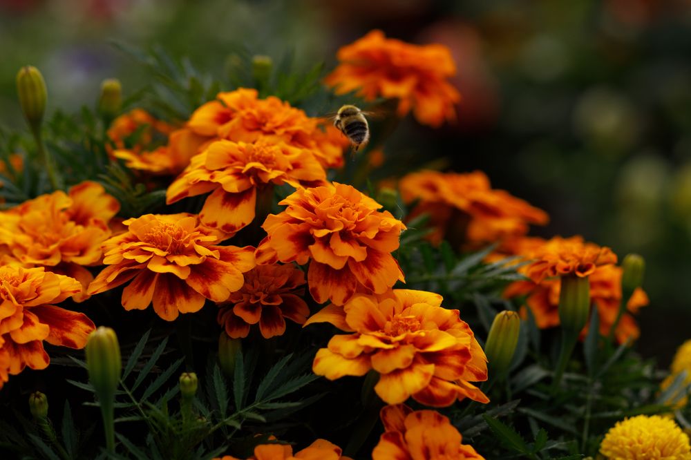 Photograph by Елена Высоких