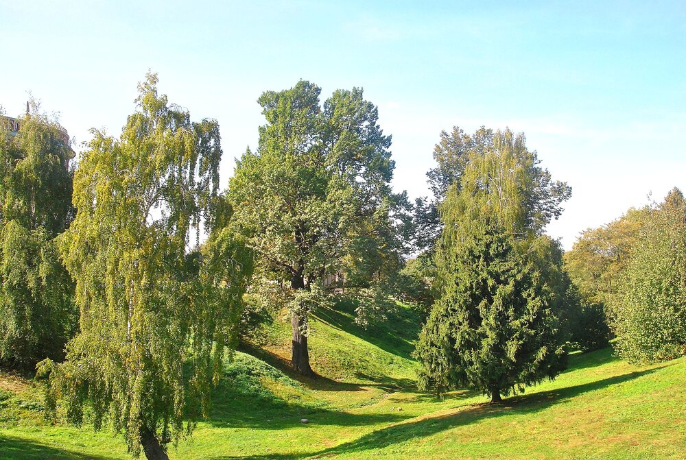 Photograph by Герасимова Татьяна