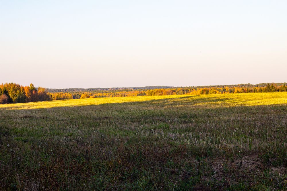 Photograph by Алексей