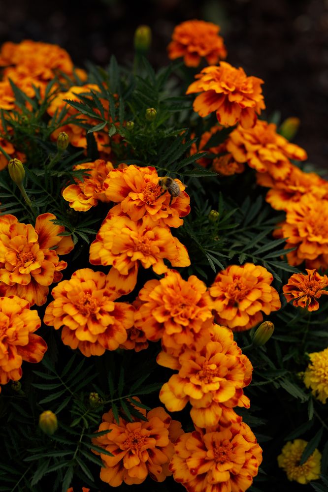 Photograph by Елена Высоких