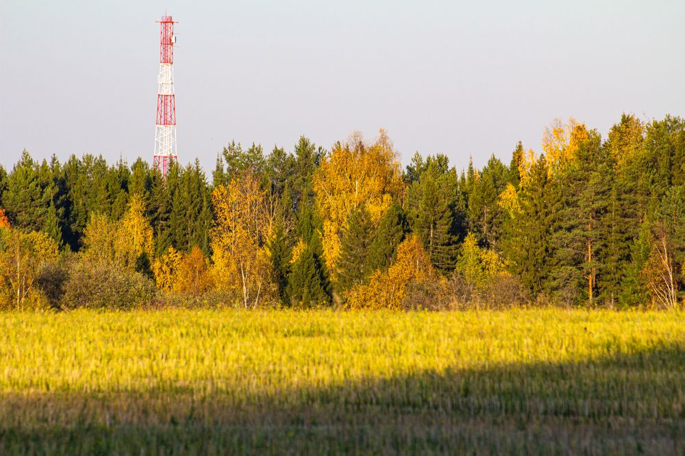 Photograph by Алексей