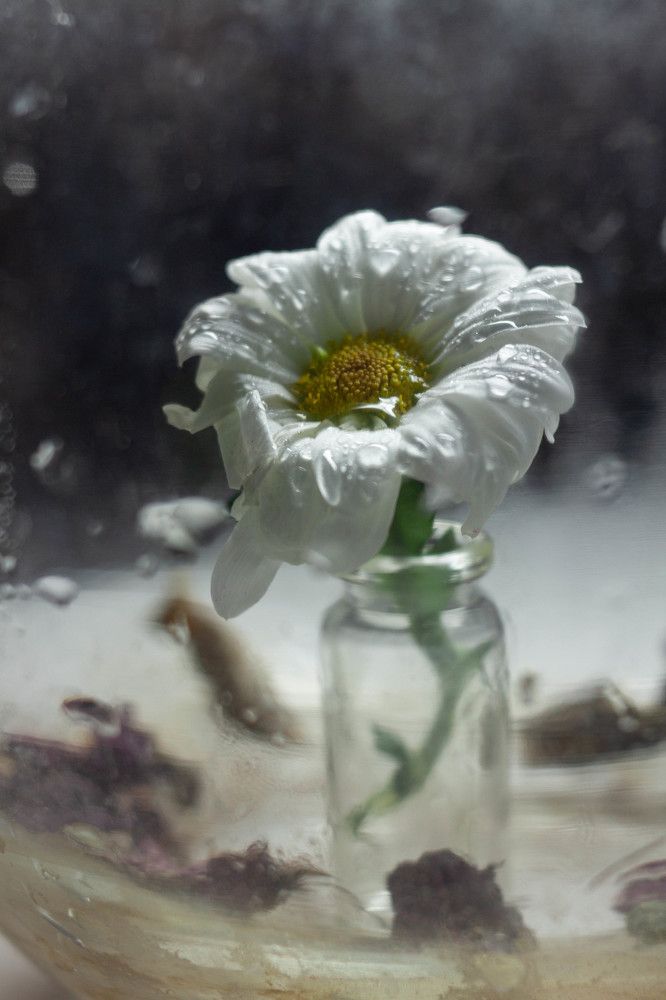 Photograph by Марина Кипреева
