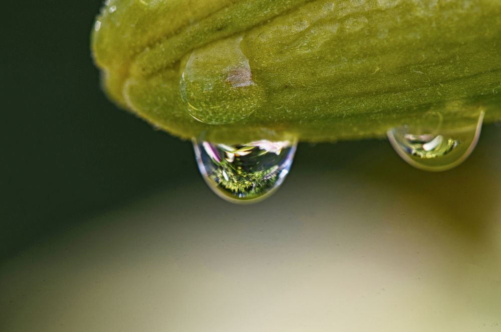 Photograph by Валерий