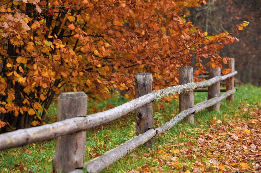 Photograph by Юрий Яковлев