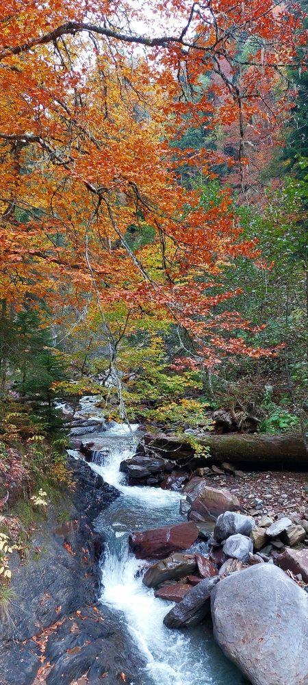 Photograph by Дина Темницкая