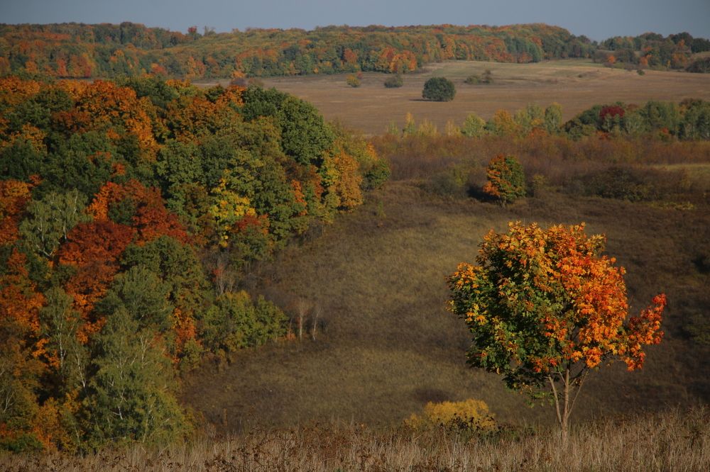Photograph by Сергей Яковлев