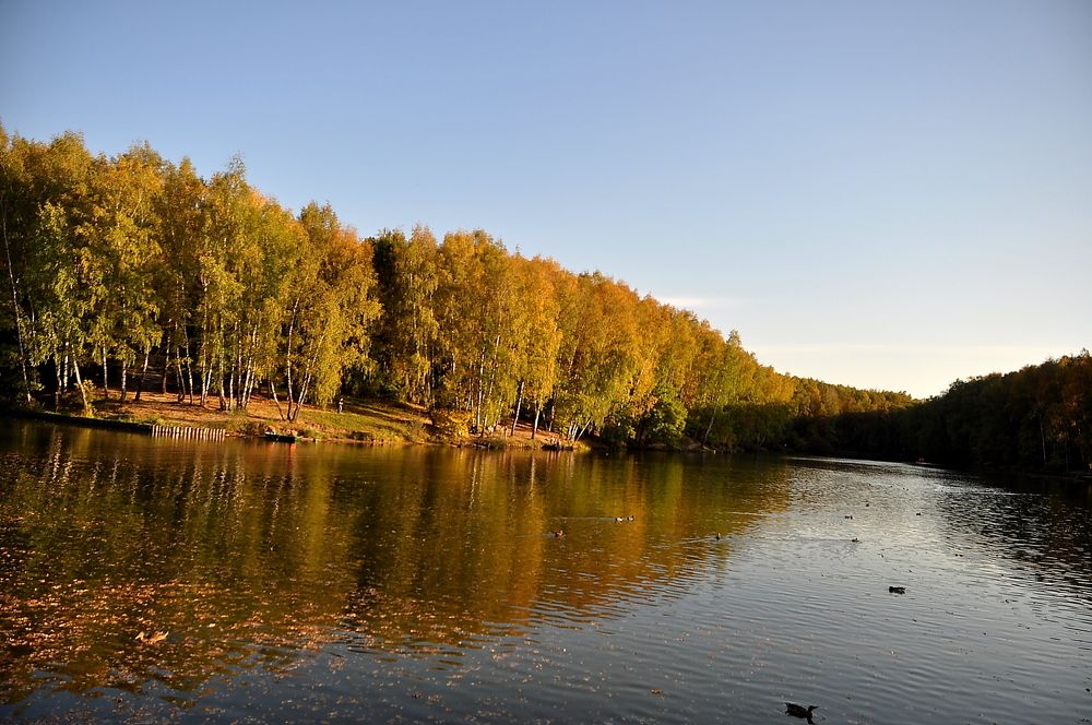 Photograph by Герасимова Татьяна