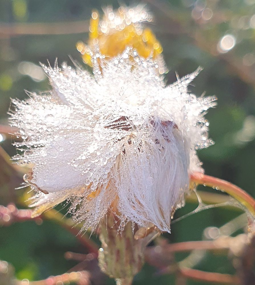 Photograph by Жанна Регор