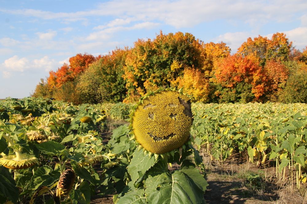 Photograph by Сергей Яковлев