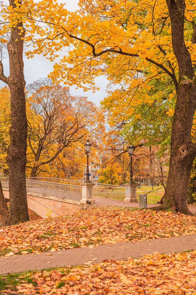 Photograph by Natalja Vasiljeva