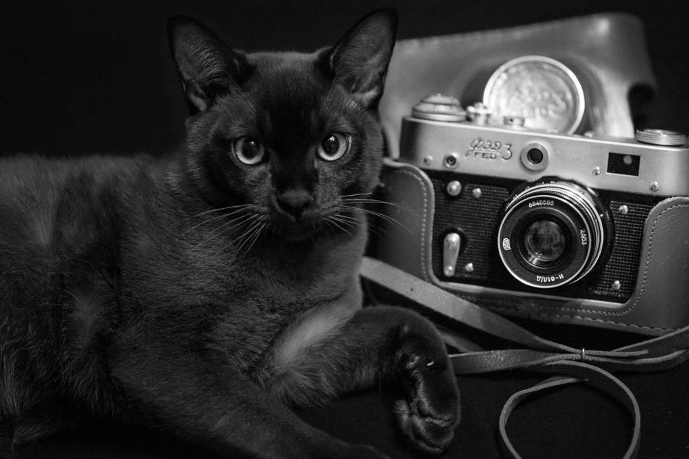 Фотография автора Марина Сокова