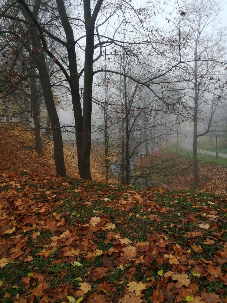 Photograph by Юлія Гацко