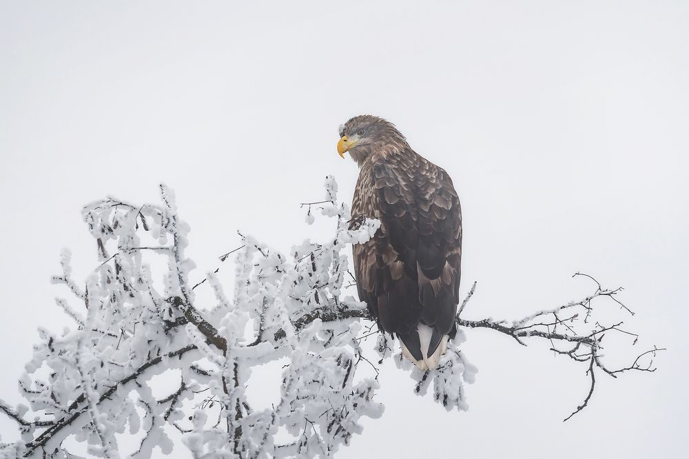 Photograph by Zakharov Armen