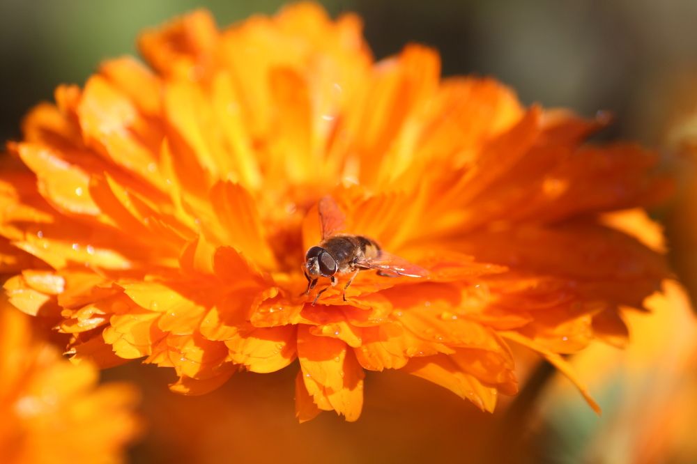 Photograph by Юлия Серазетдинова