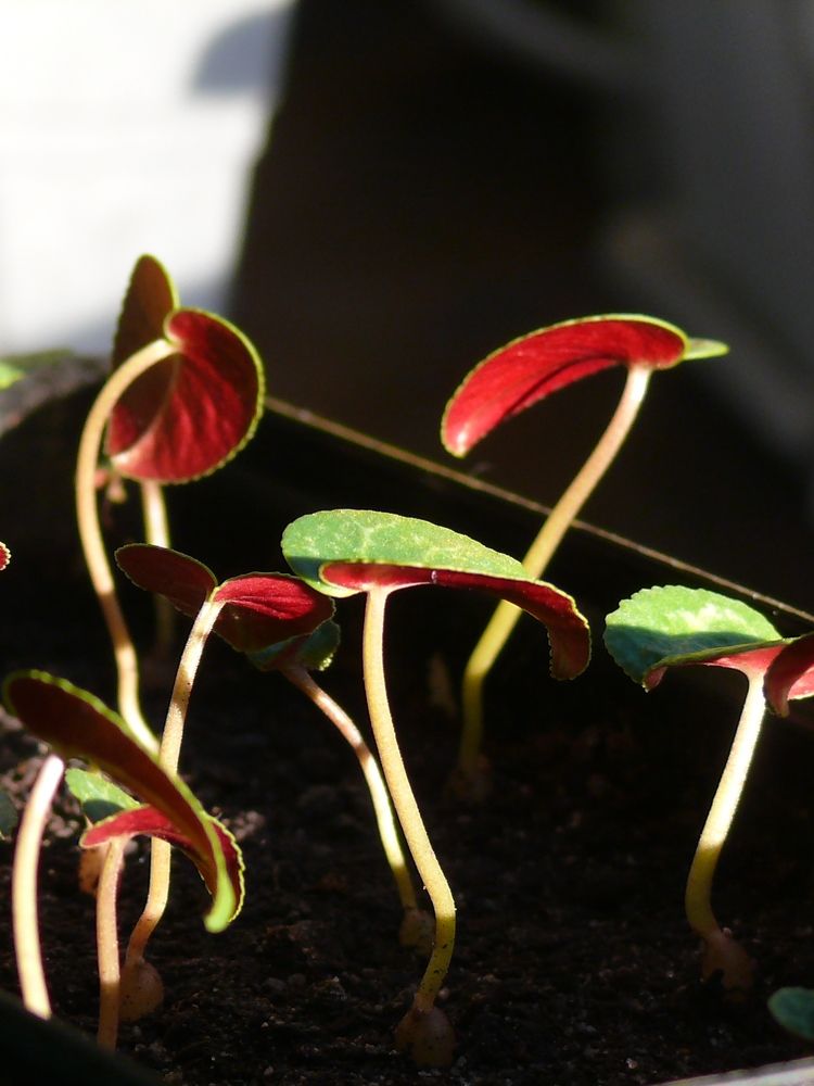 Photograph by Елена Попова