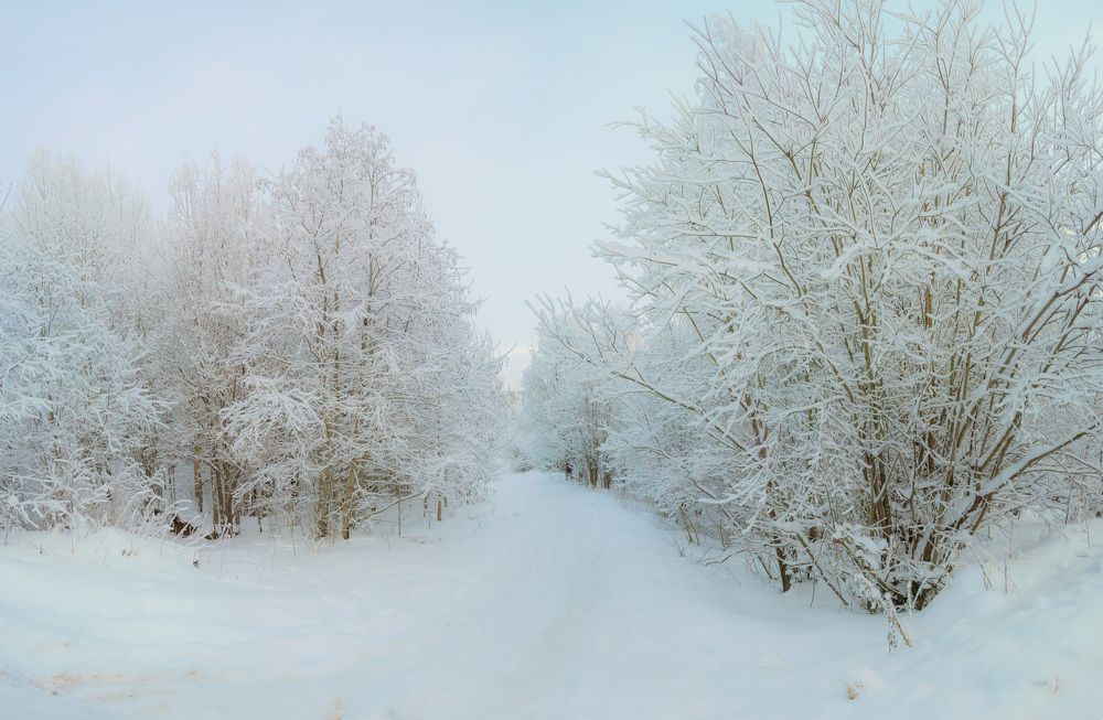 Photograph by Алексей Ильин