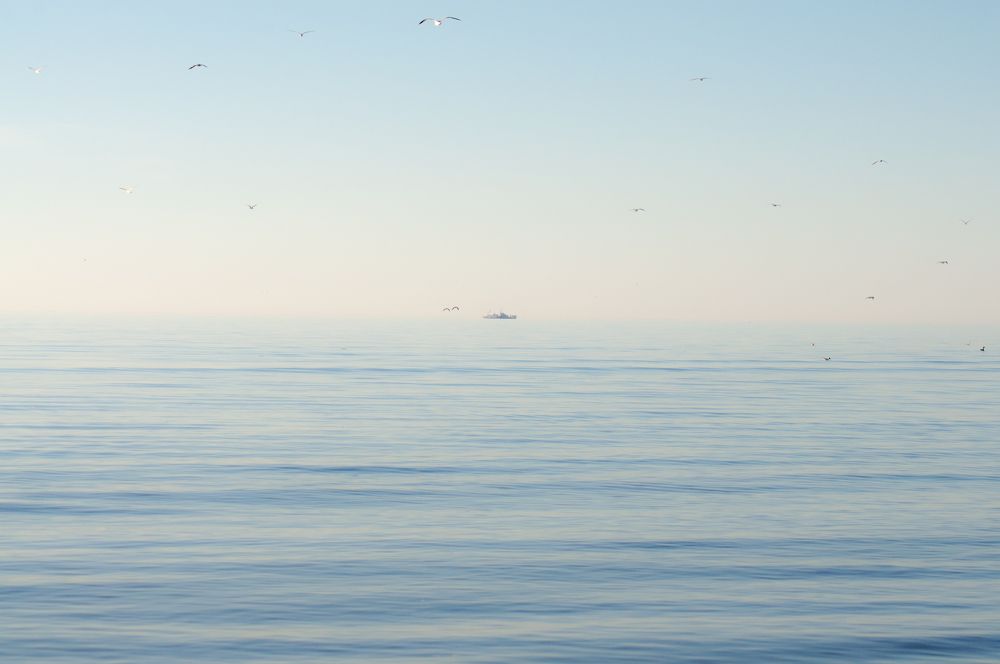 Photograph by Алексей Ильин