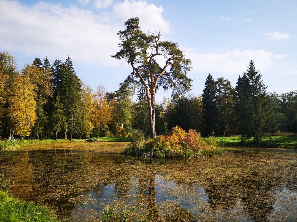 Photograph by Liubov Tarasova