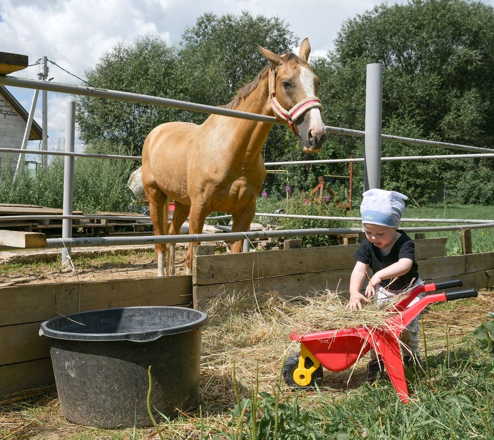 Photograph by Елена Ермакова