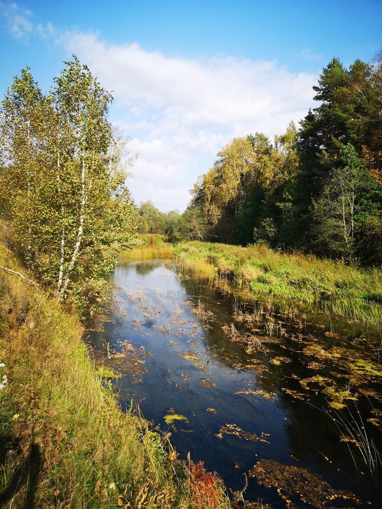 Photograph by Liubov Tarasova