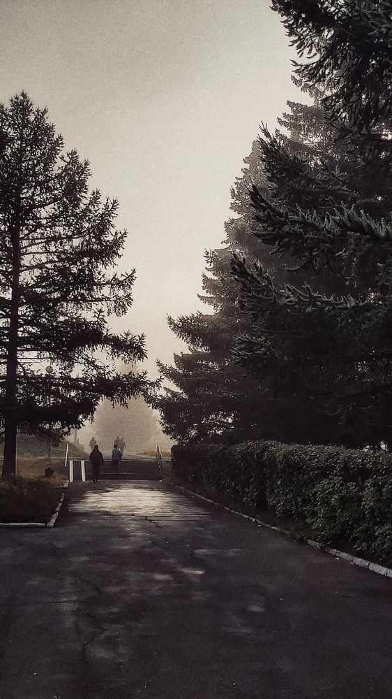 Photograph by Лилия Билалова