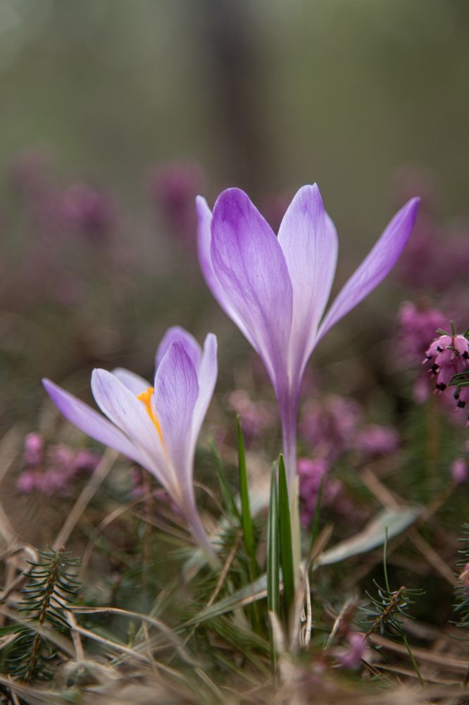 Photograph by Татьяна Алексеева