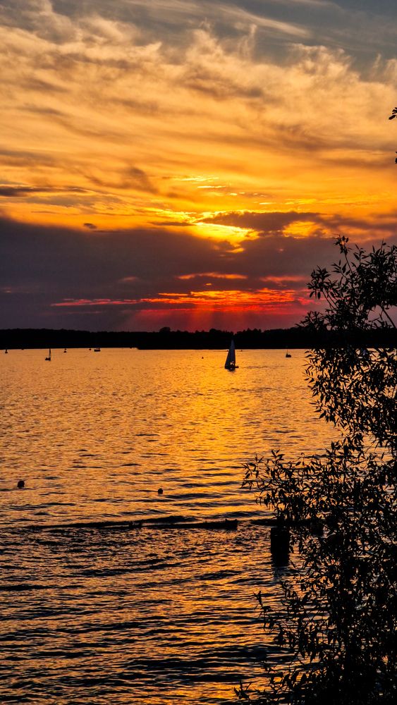 Фотография автора Всеволод Юрша