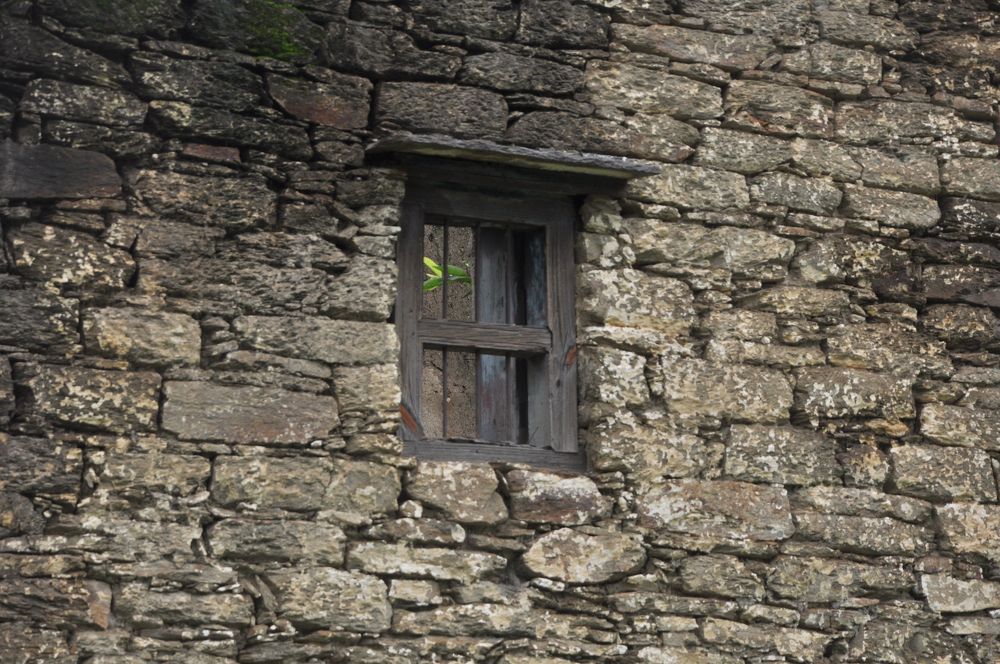 Photograph by SANDEEP KUMAR SHARMA