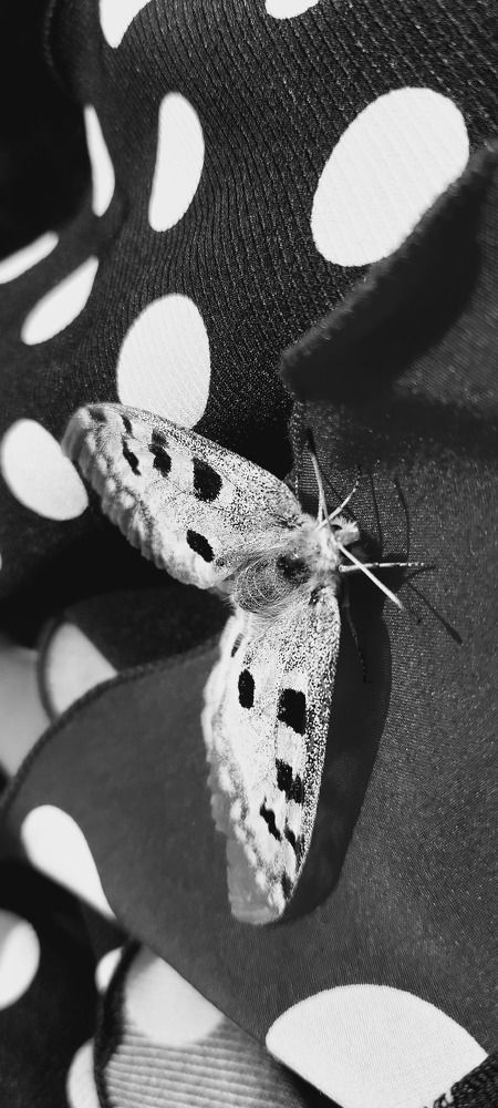 Photograph by Светлана