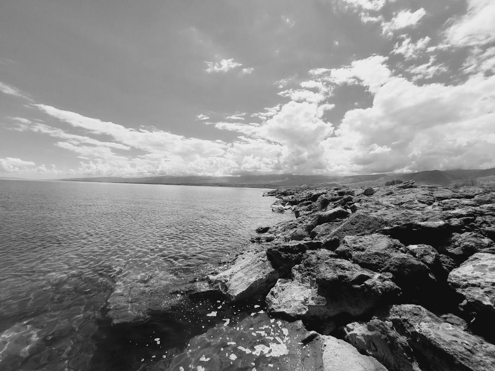 Photograph by Светлана