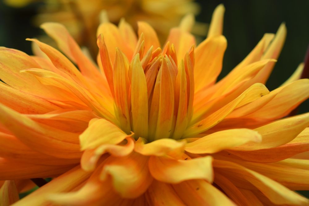 Photograph by Лебедев Олег