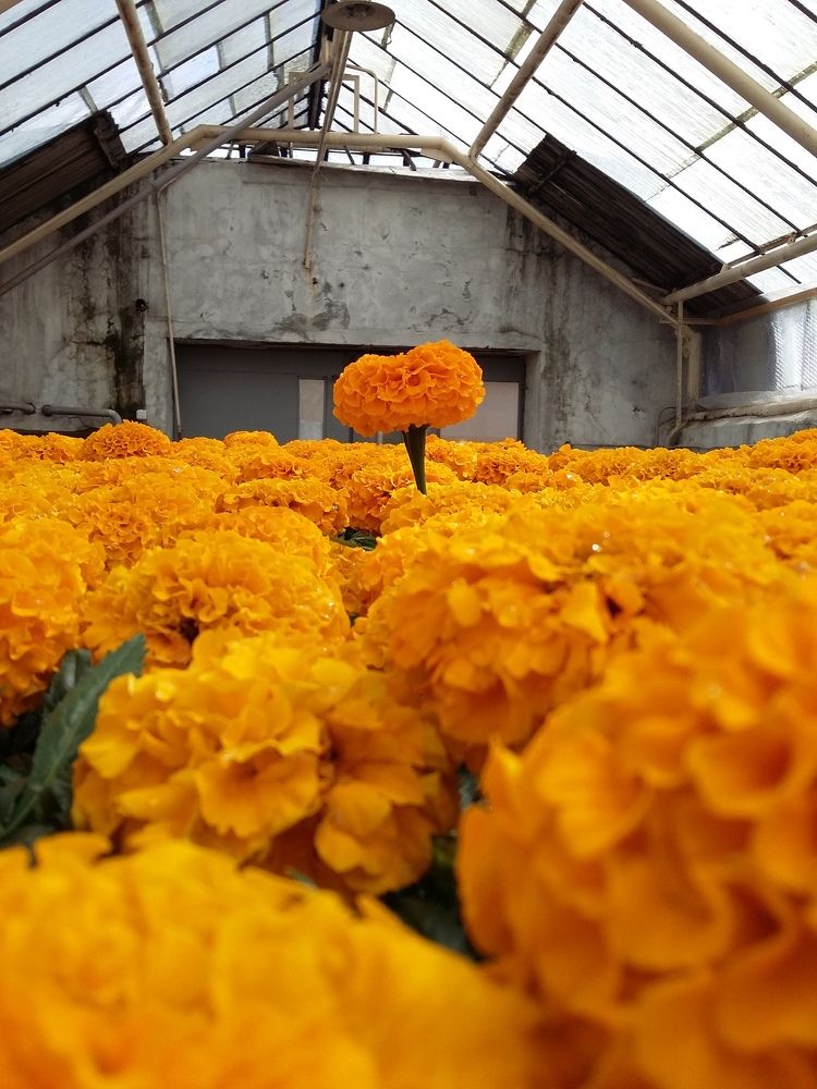 Photograph by Лебедев Олег