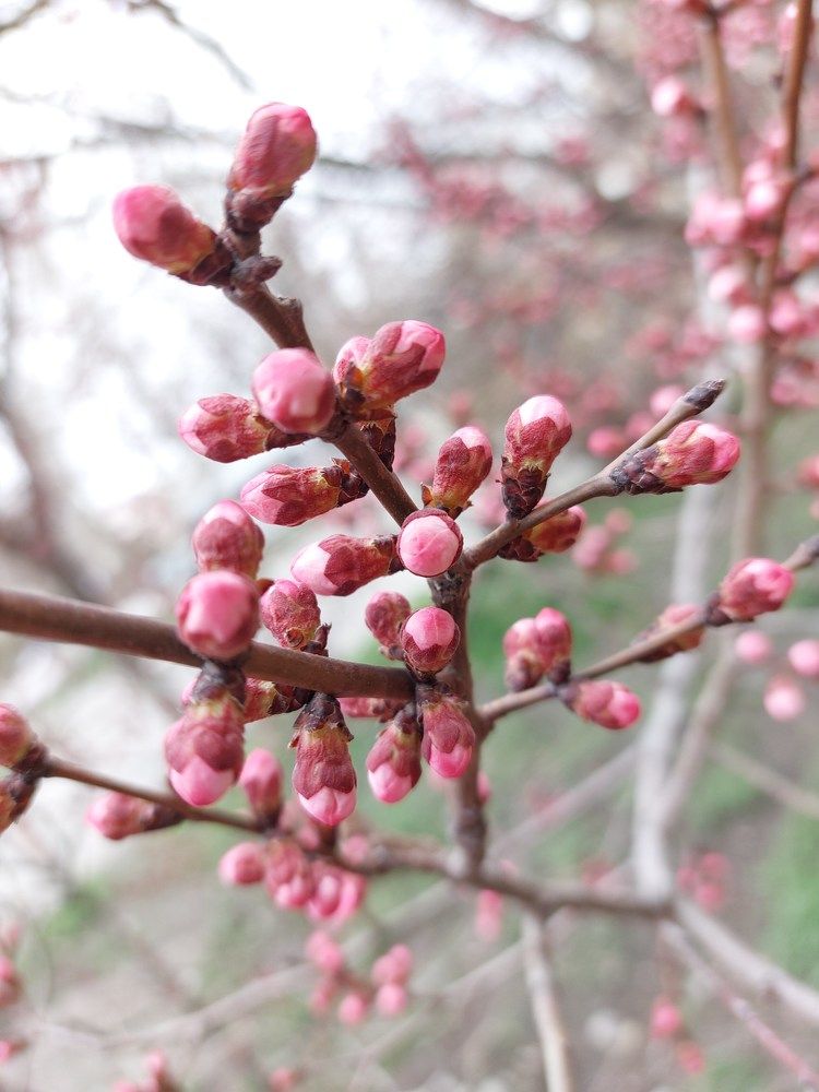 Photograph by Светлана