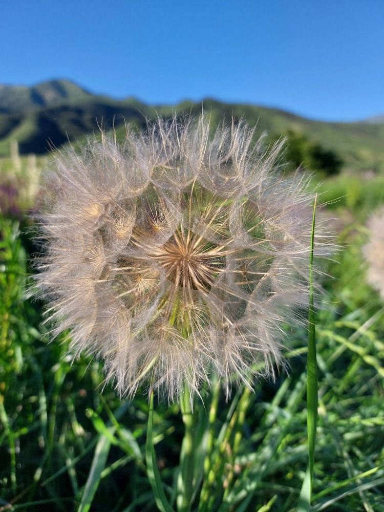 Photograph by Светлана